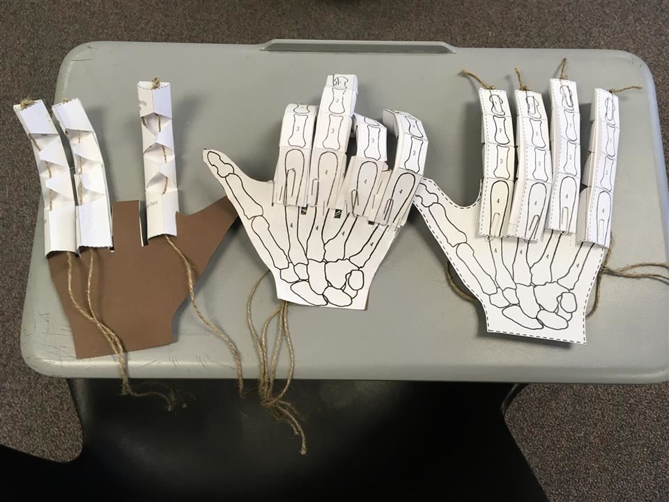 Example of Completed Mystery 1-Robot Hands Example of Completed Mystery 1-Robot Hands