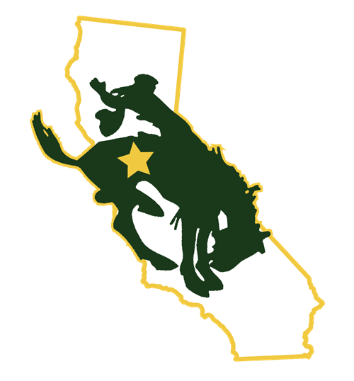 Bronco 